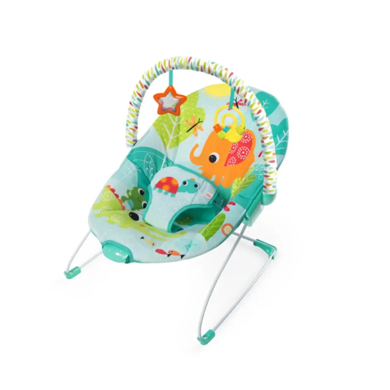 Baby Bouncer
